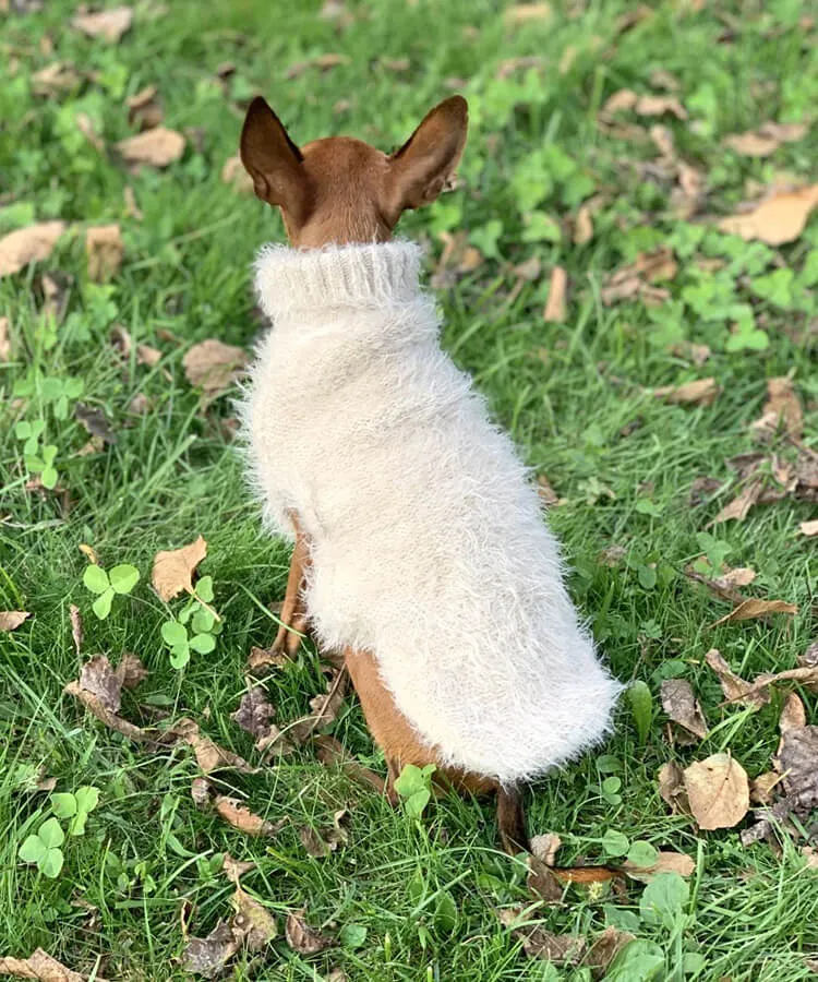 Dog turtleneck