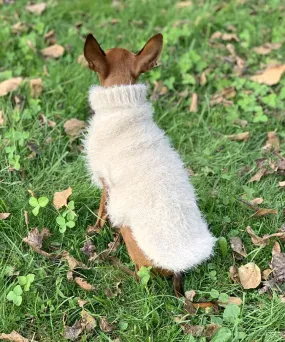 Dog turtleneck