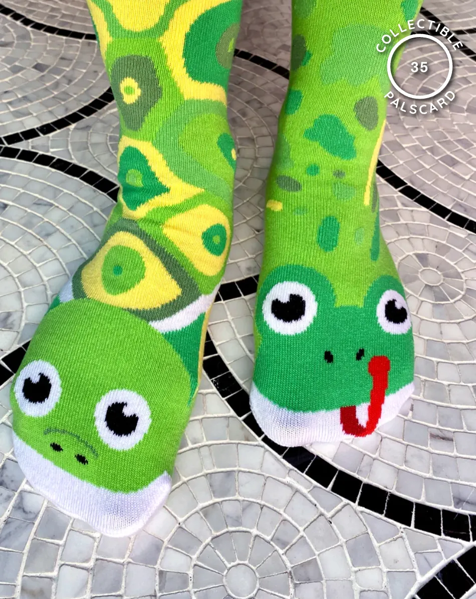 Pals: Kids Frog & Turtle Socks