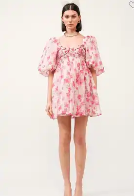 Rose Garden Dress